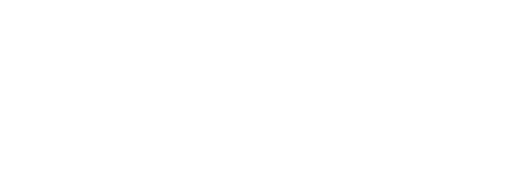 Conceitual Seg